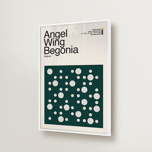 Abstract Angel Wing Begonia Plant Graphic Art