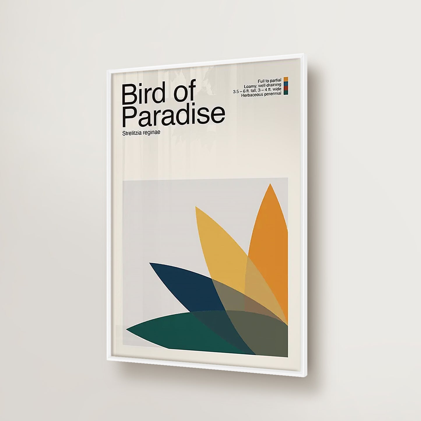 Abstract Bird of Paradise Plant Graphic Art