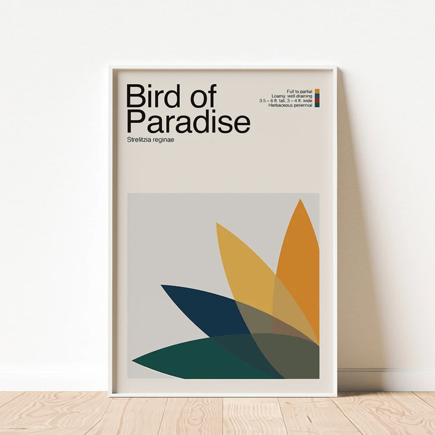 Abstract Bird of Paradise Plant Graphic Art