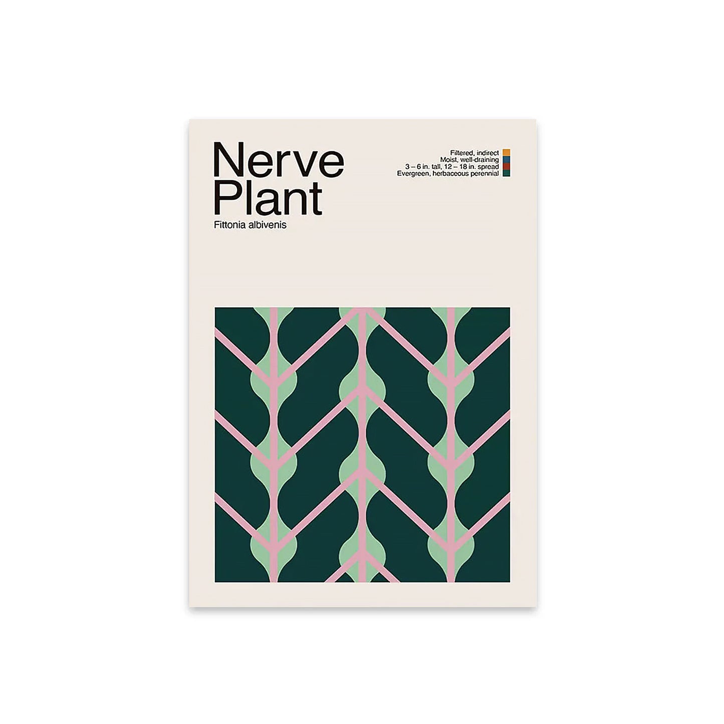 Abstract Nerve Plant Graphic Art