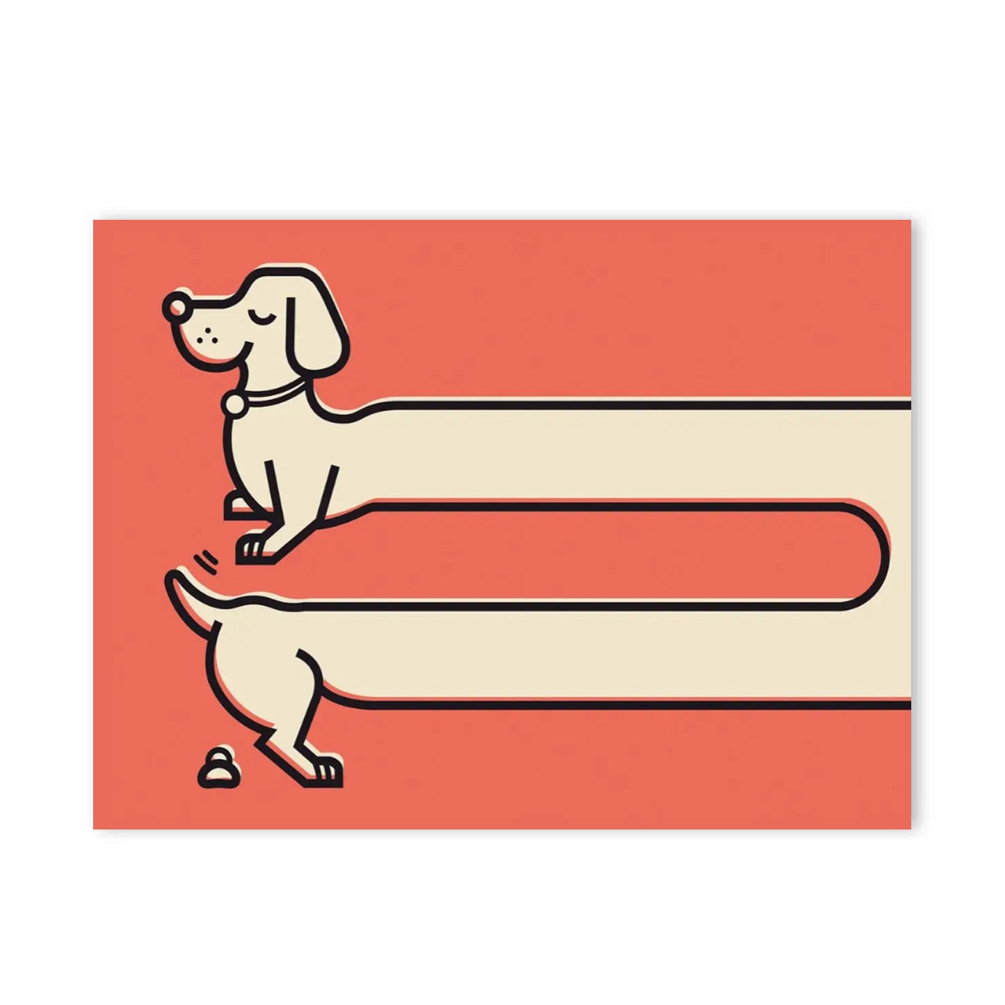 Dachshund Slutter Aldrig