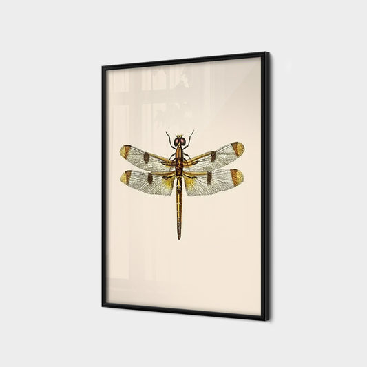 Vintage Painted Skimmer
