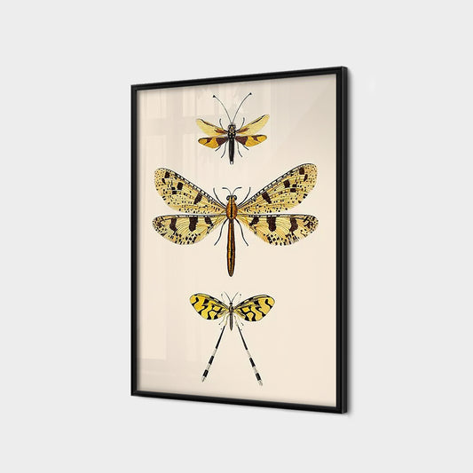 Vintage Palpares Caffer Dragonfly