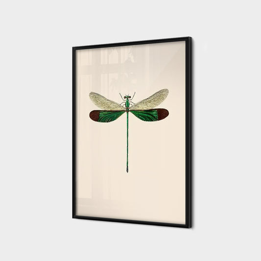 Vintage Stream lory Dragonfly