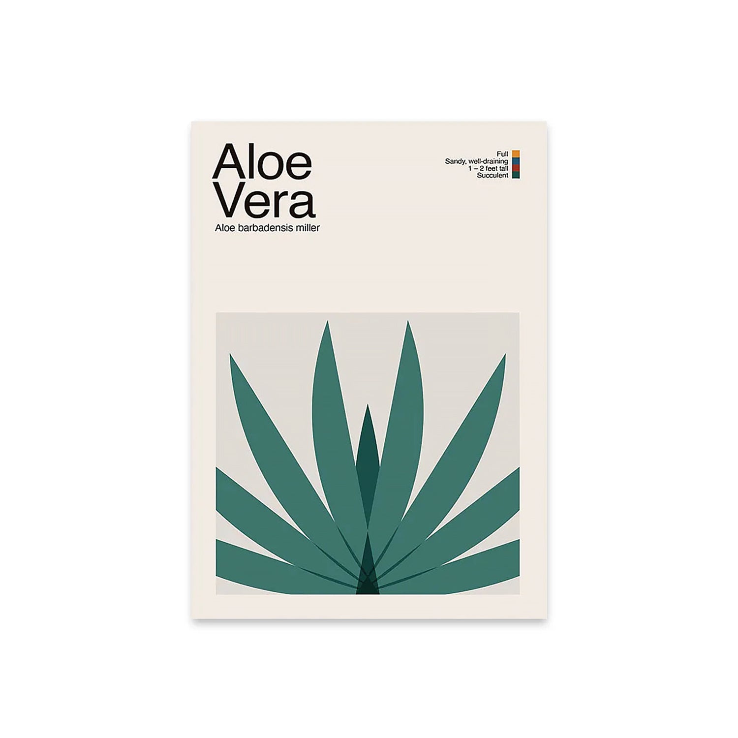 Abstract Aloe Vera Plant Graphic Art-thumbmail-5
