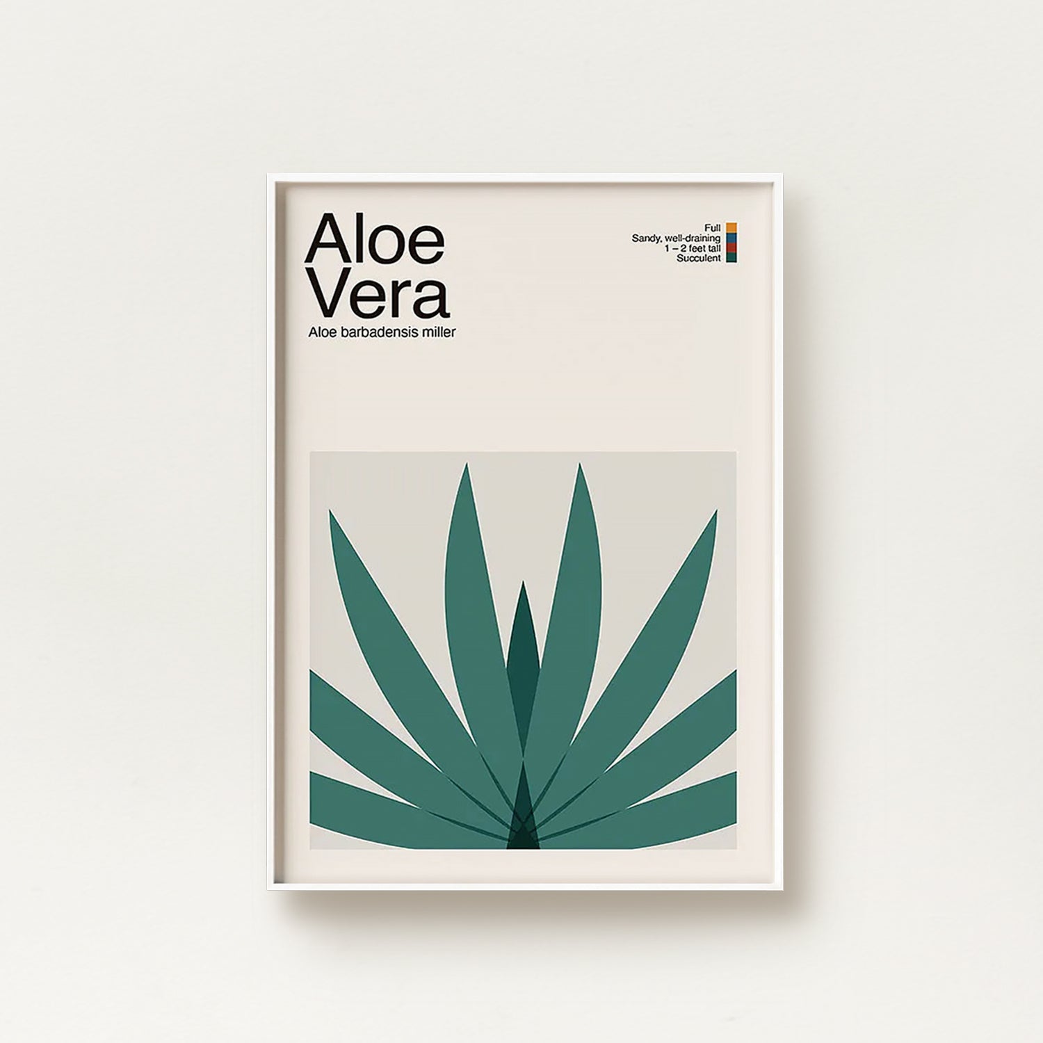 Abstract Aloe Vera Plant Graphic Art