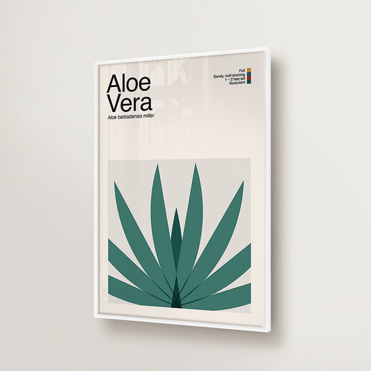 Abstract Aloe Vera Plant Graphic Art