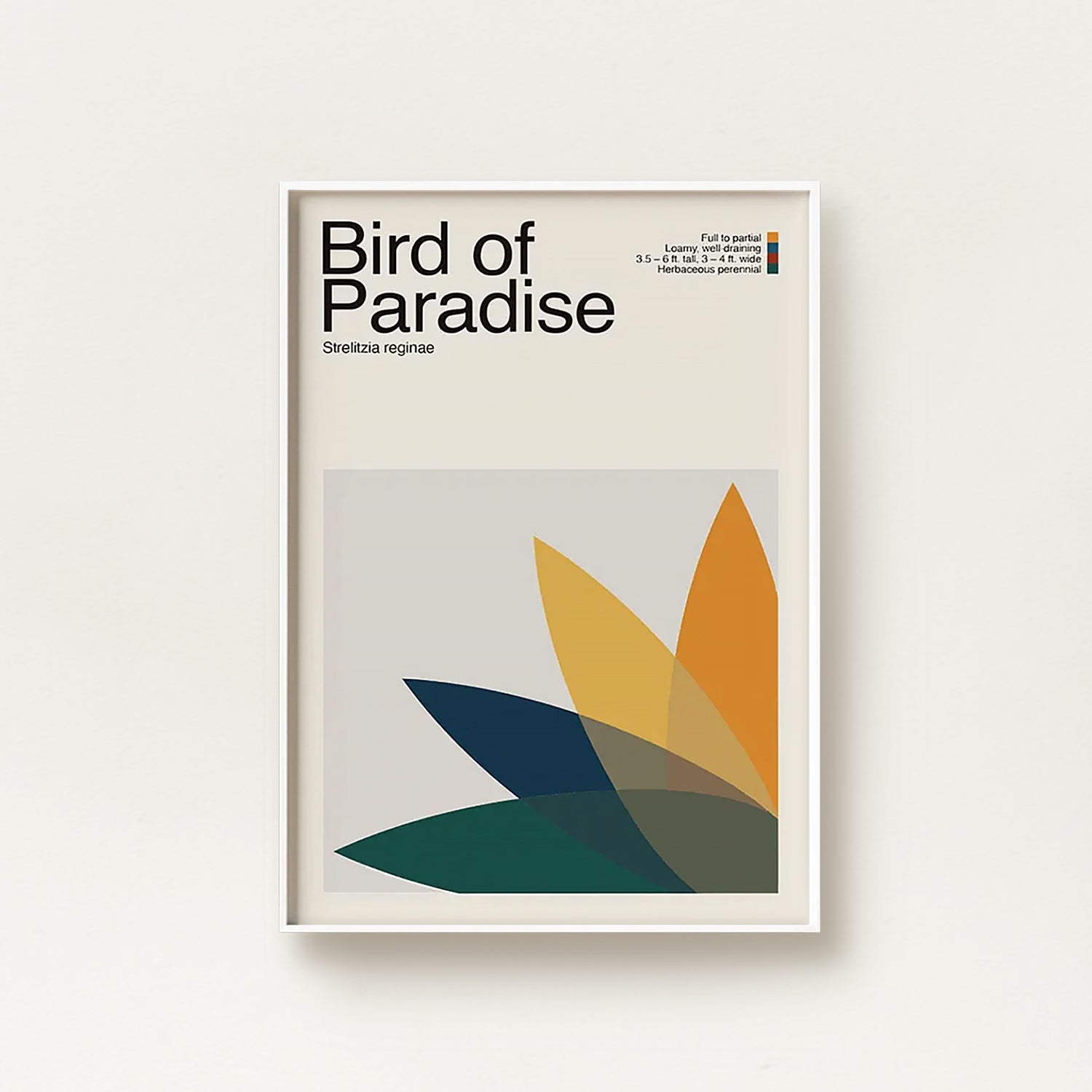 Abstract Bird of Paradise Plant Graphic Art