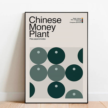 Abstract Chinese Money Plant Graphic Art