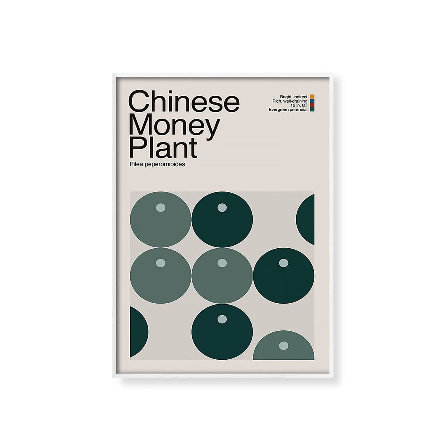 Abstract Chinese Money Plant Graphic Art-thumbmail-8