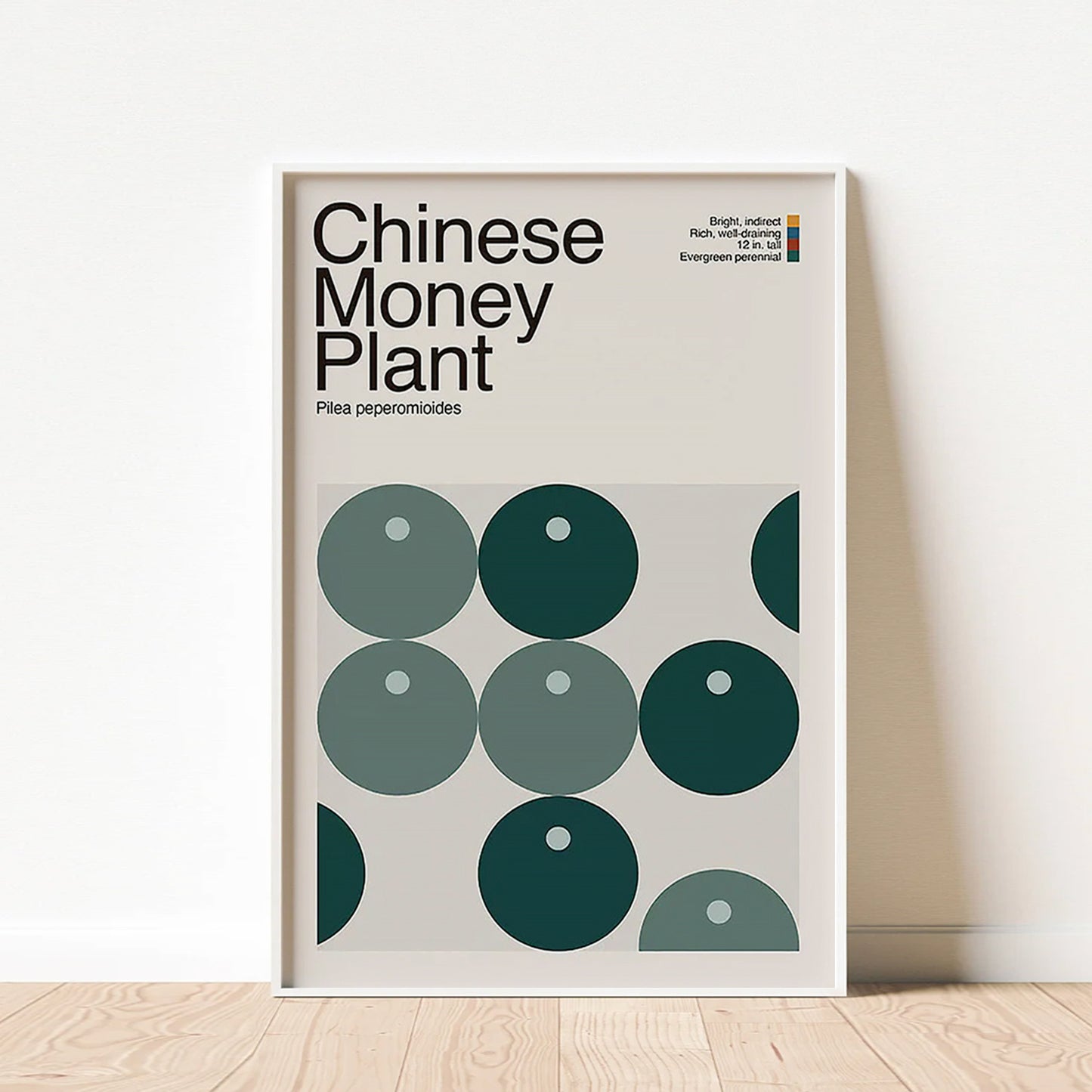 Abstract Chinese Money Plant Graphic Art