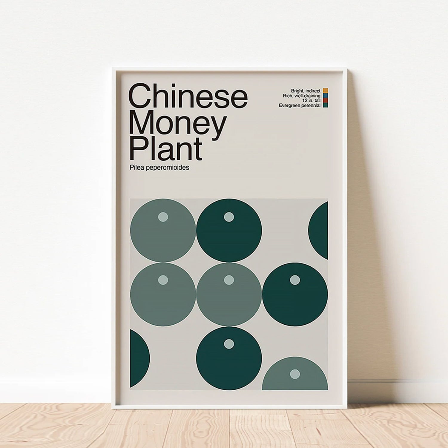 Abstract Chinese Money Plant Graphic Art-thumbmail-3