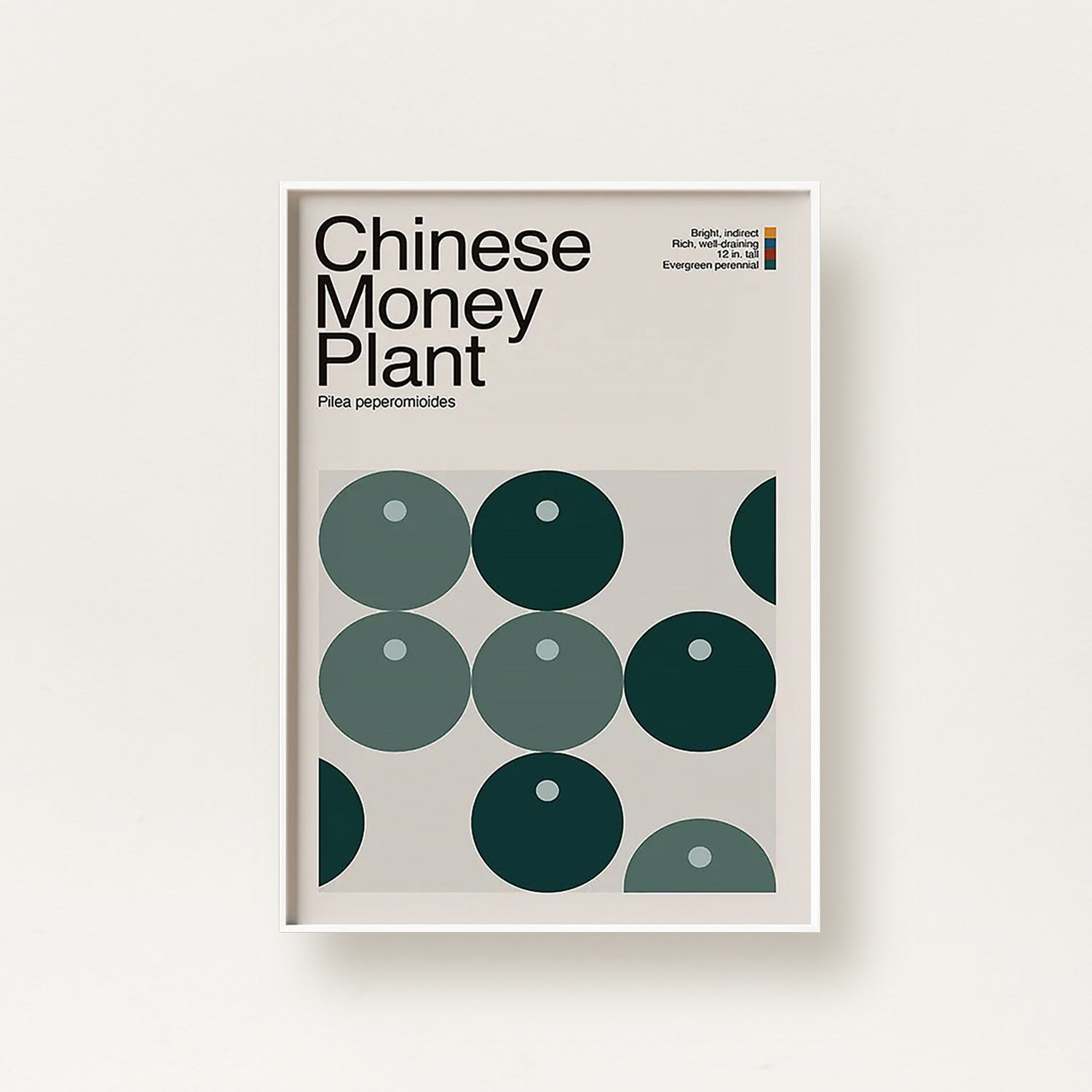 Abstract Chinese Money Plant Graphic Art