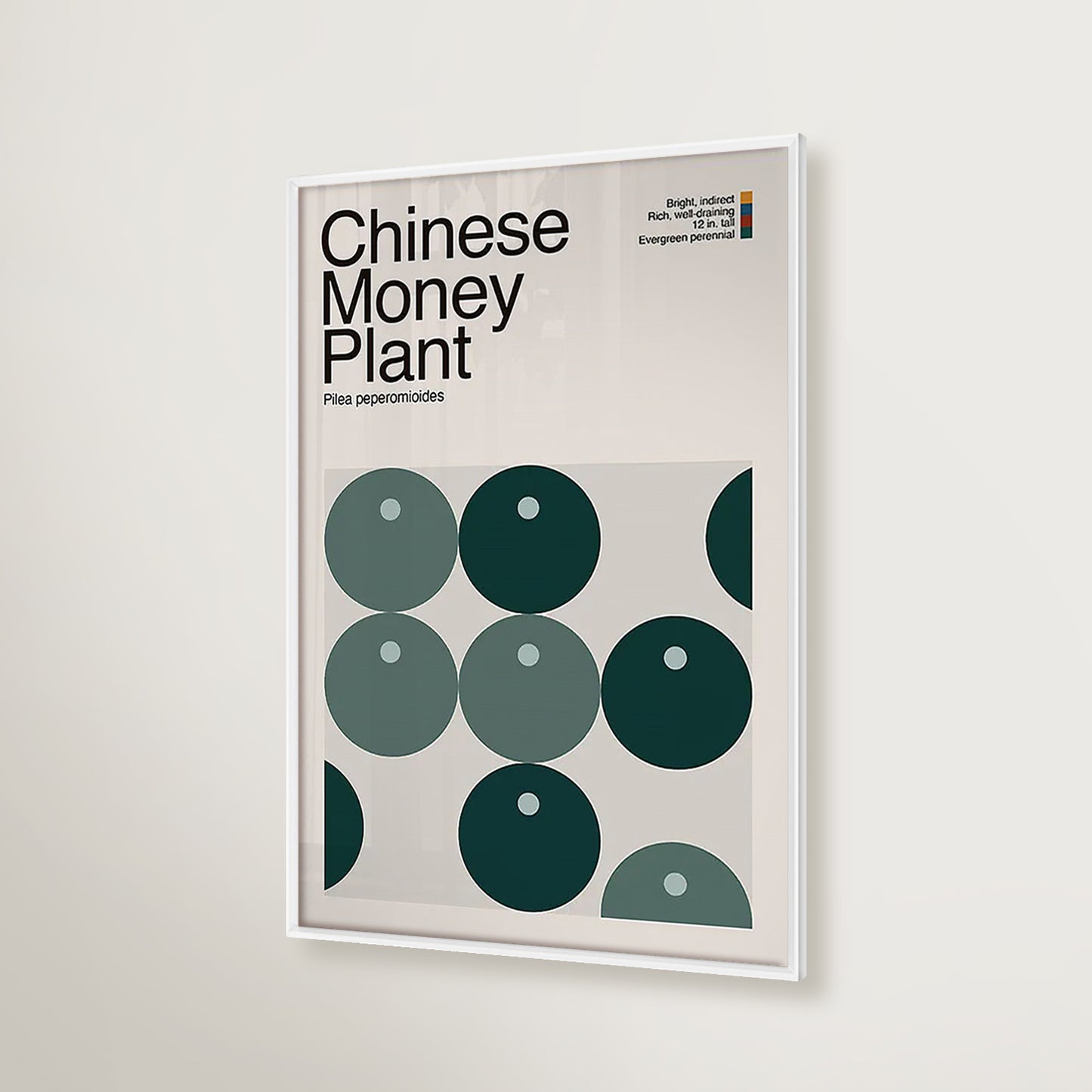 Abstract Chinese Money Plant Graphic Art