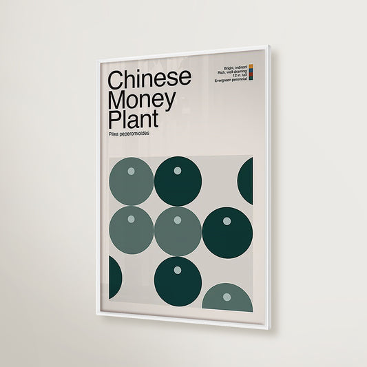Abstract Chinese Money Plant Graphic Art