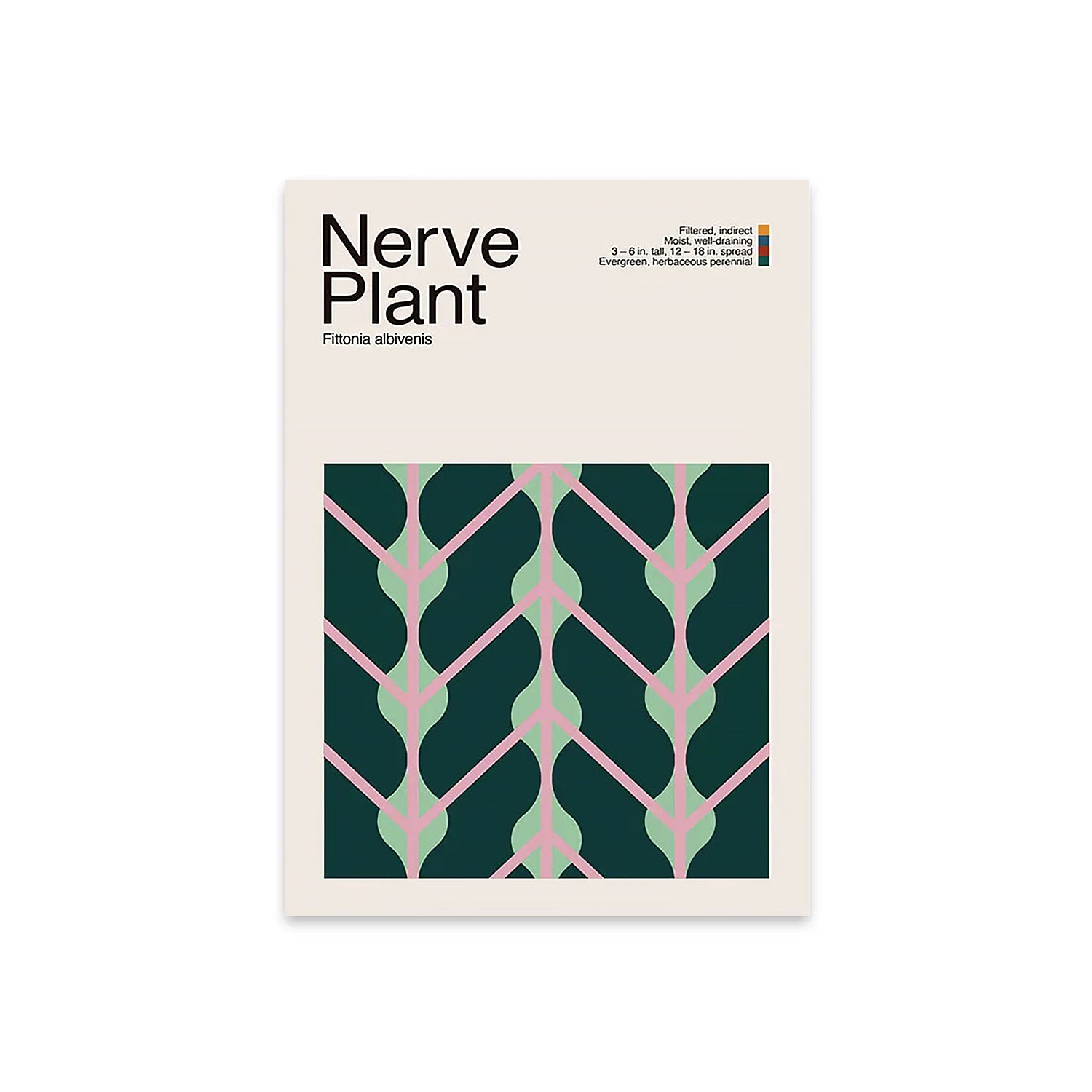 Abstract Nerve Plant Graphic Art-thumbmail-4