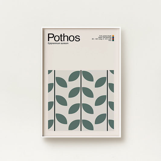 Abstract Pothos Plant Graphic Art