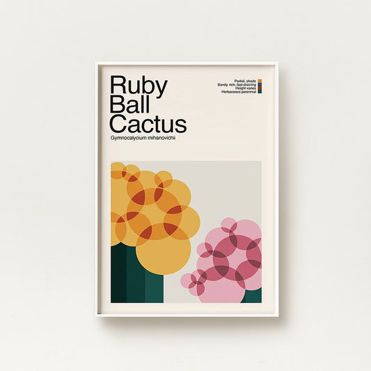 Abstract Ruby Ball Cactus Plant Graphic Art