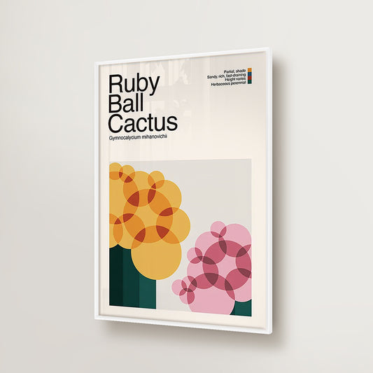 Abstract Ruby Ball Cactus Plant Graphic Art