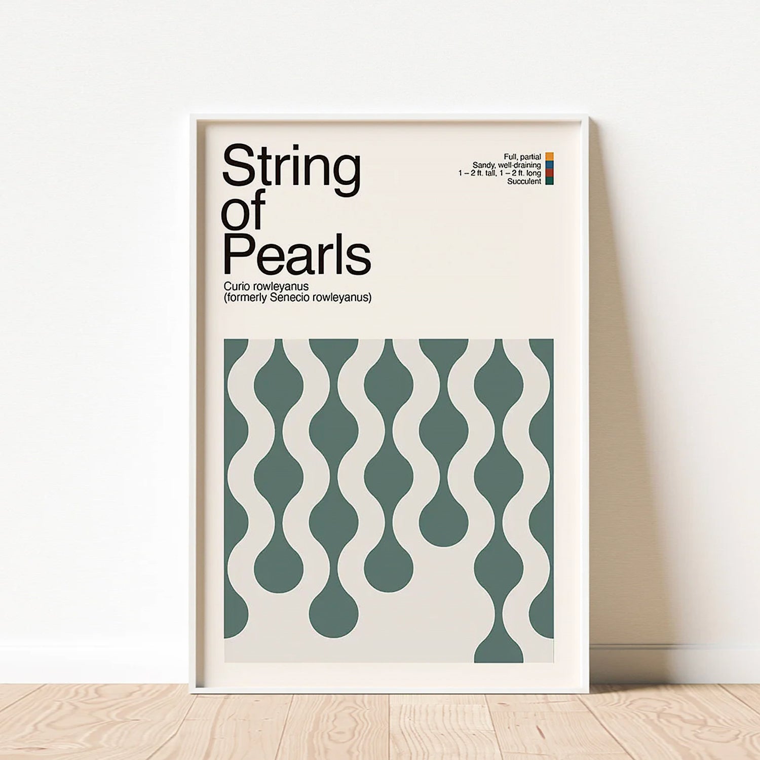 Abstract String of Pearls Plant Graphic Art-thumbmail-3