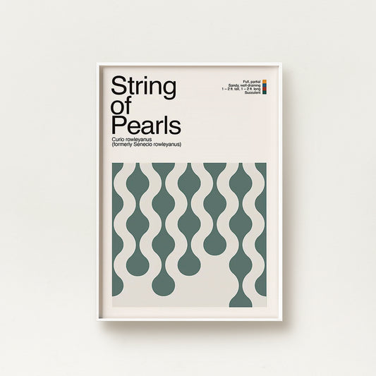 Abstract String of Pearls Plant Graphic Art