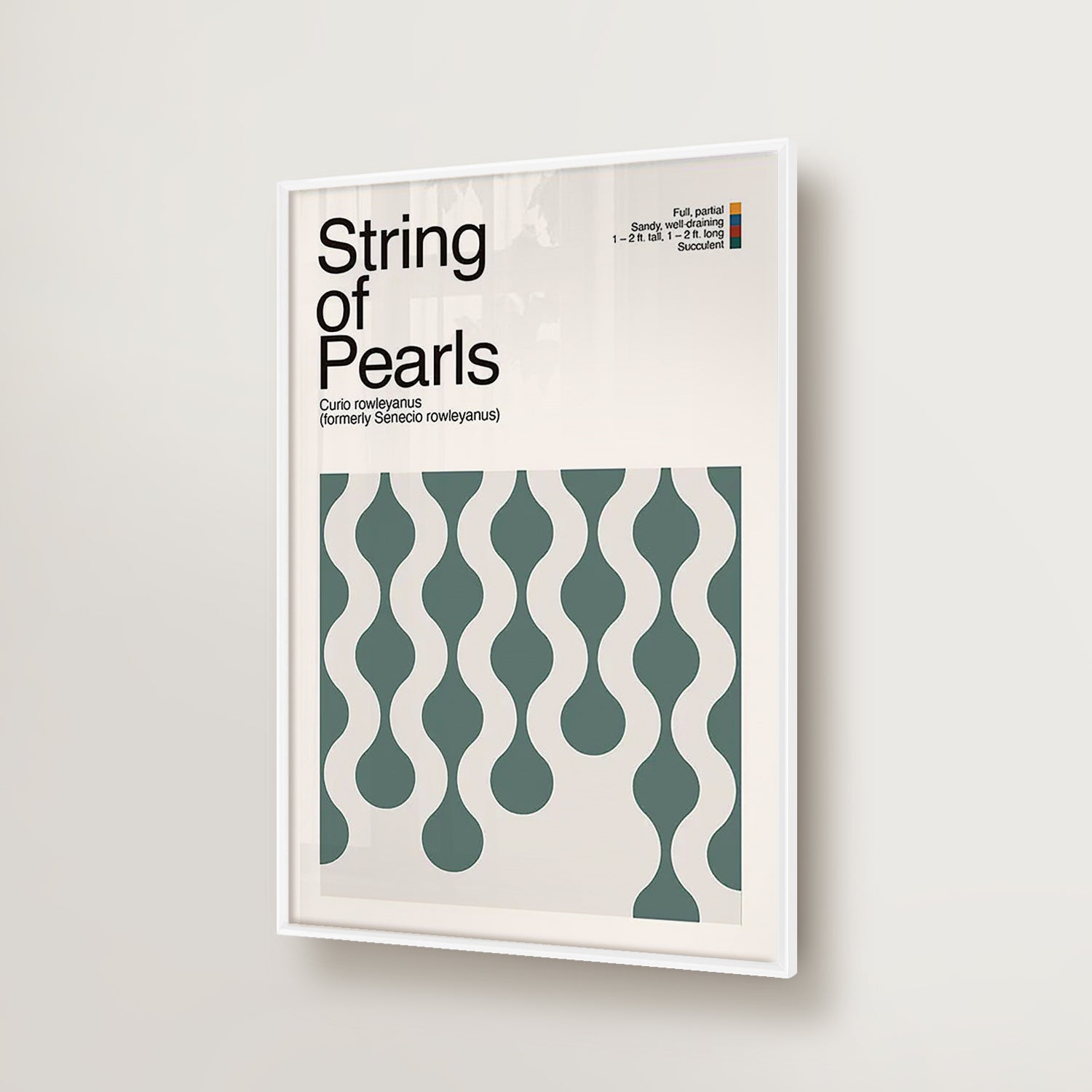 Abstract String of Pearls Plant Graphic Art-thumbmail-2