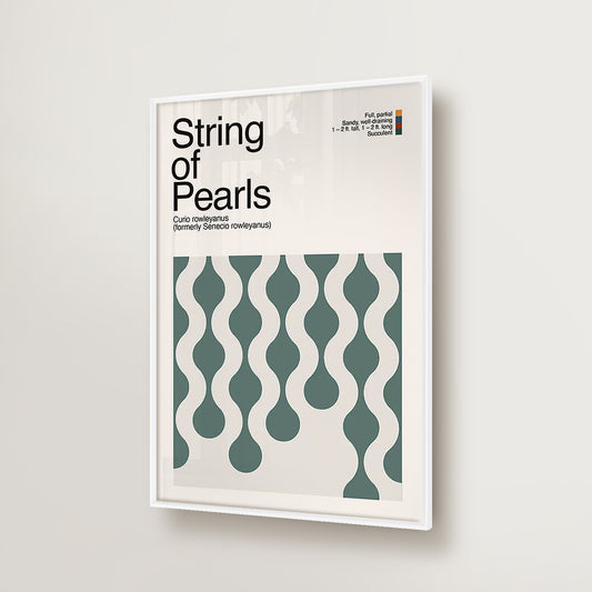 Abstract String of Pearls Plant Graphic Art
