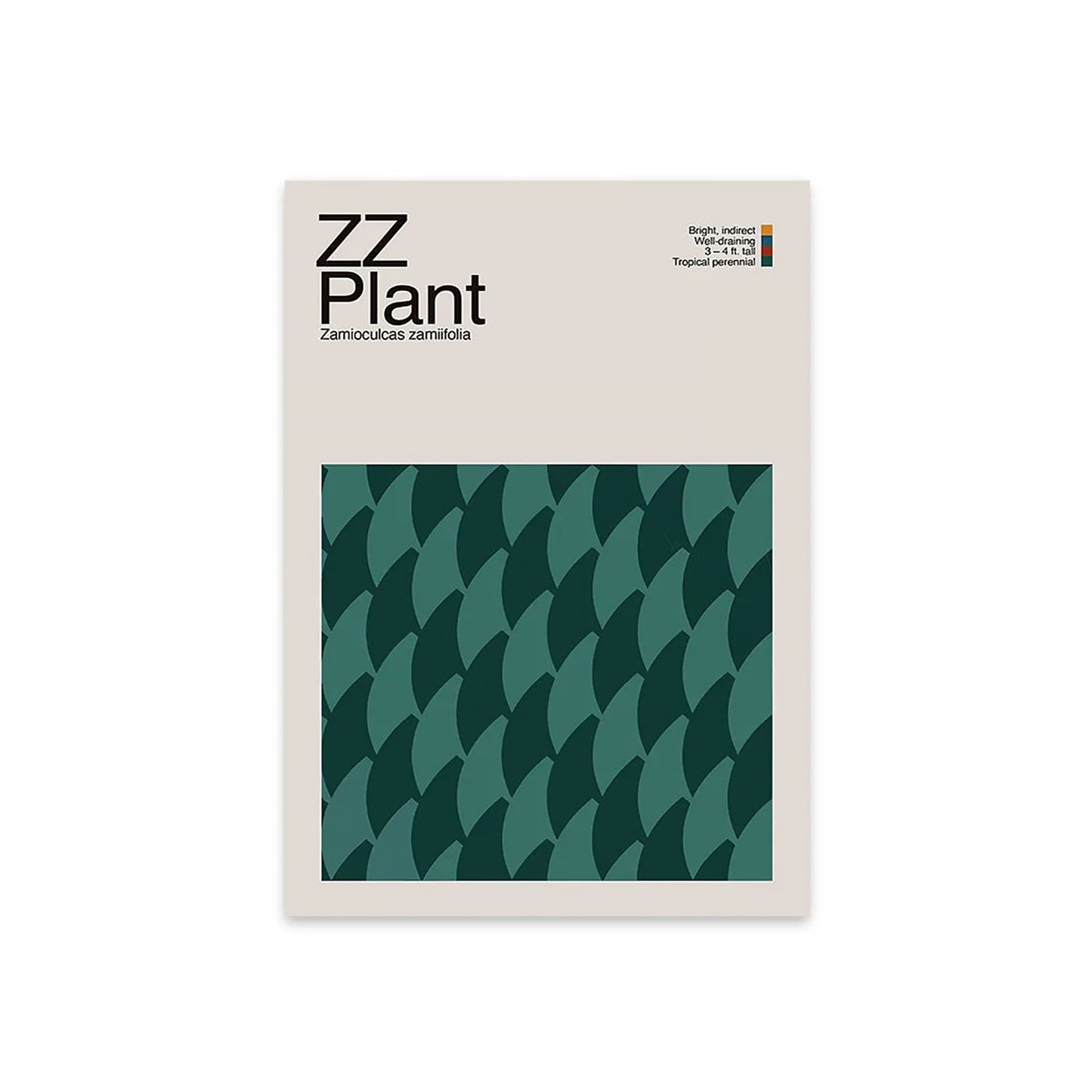 Abstract ZZ Plant Graphic Art