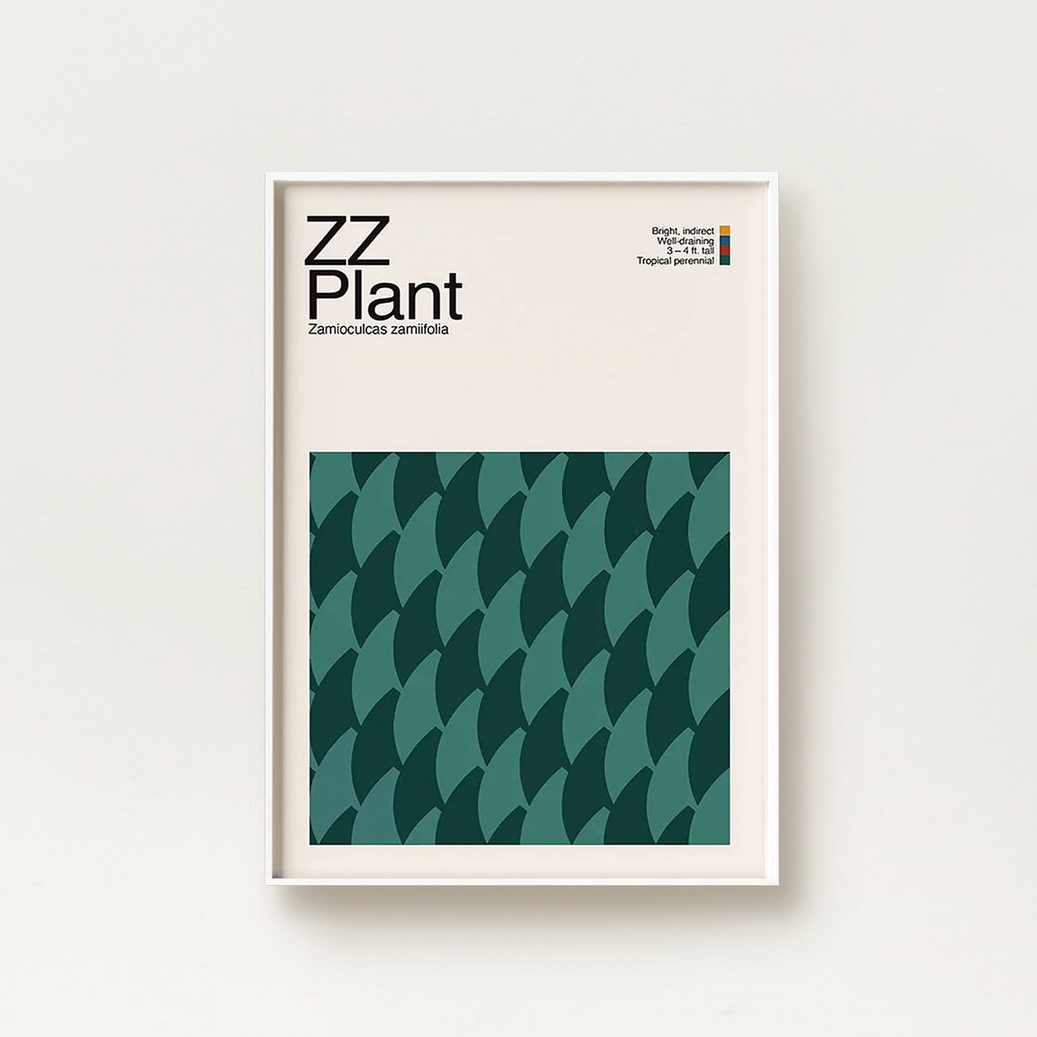 Abstract ZZ Plant Graphic Art