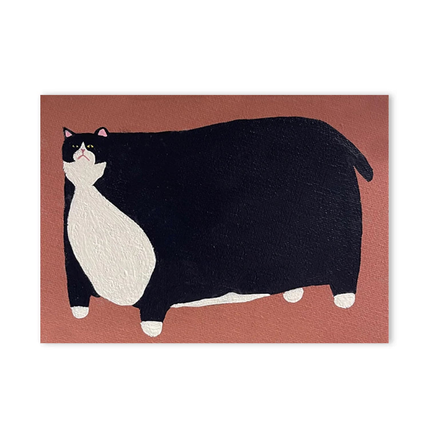 Fat Tuxedo Cat-thumbmail-3