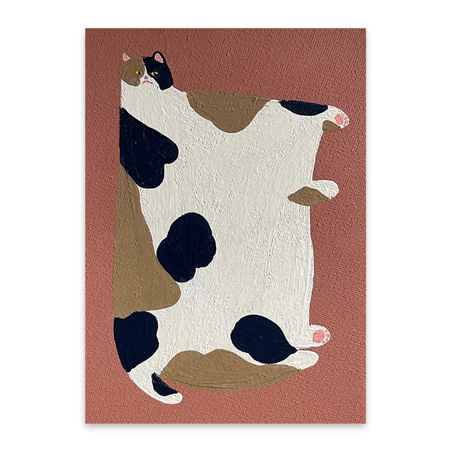 Fat Calico Cat-thumbmail-3