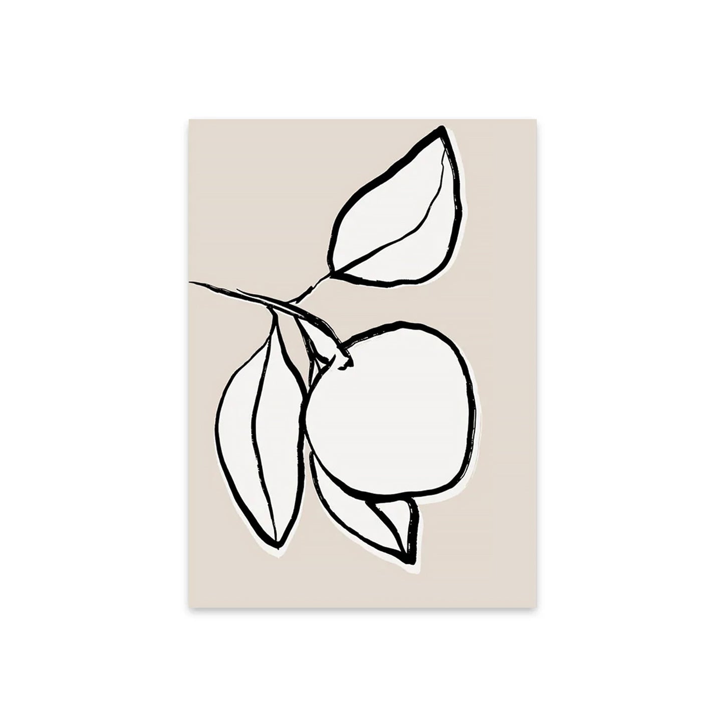 Japanese Contour Citrus