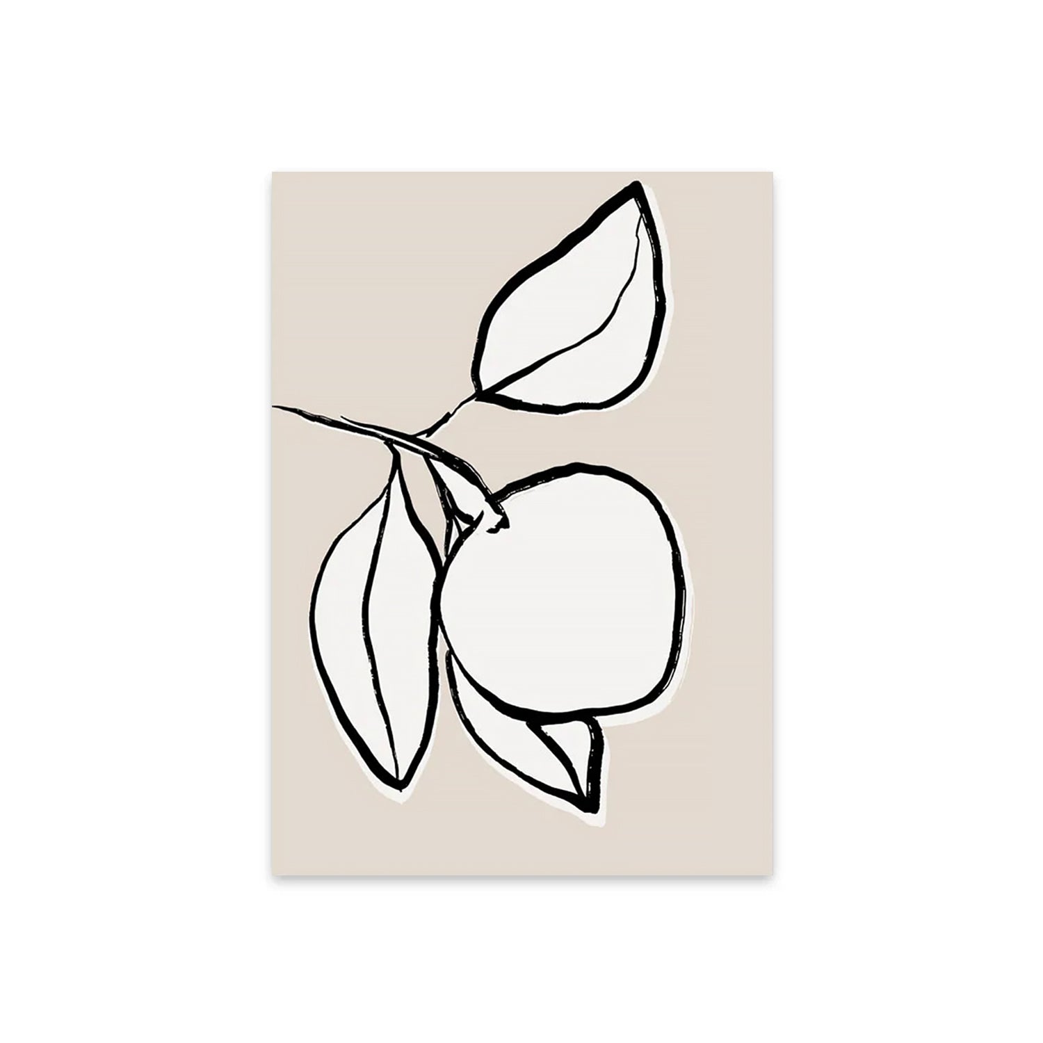 Japanese Contour Citrus-thumbmail-4