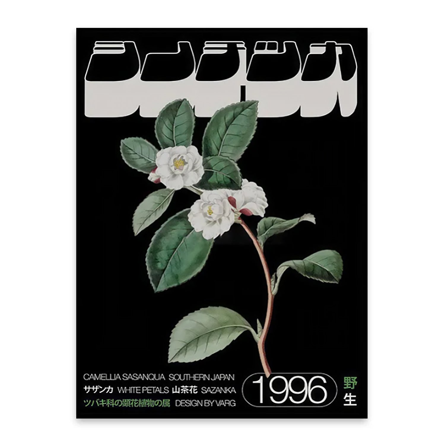 Japanske Hvide Petaler Sazanka (1996)-thumbmail-3