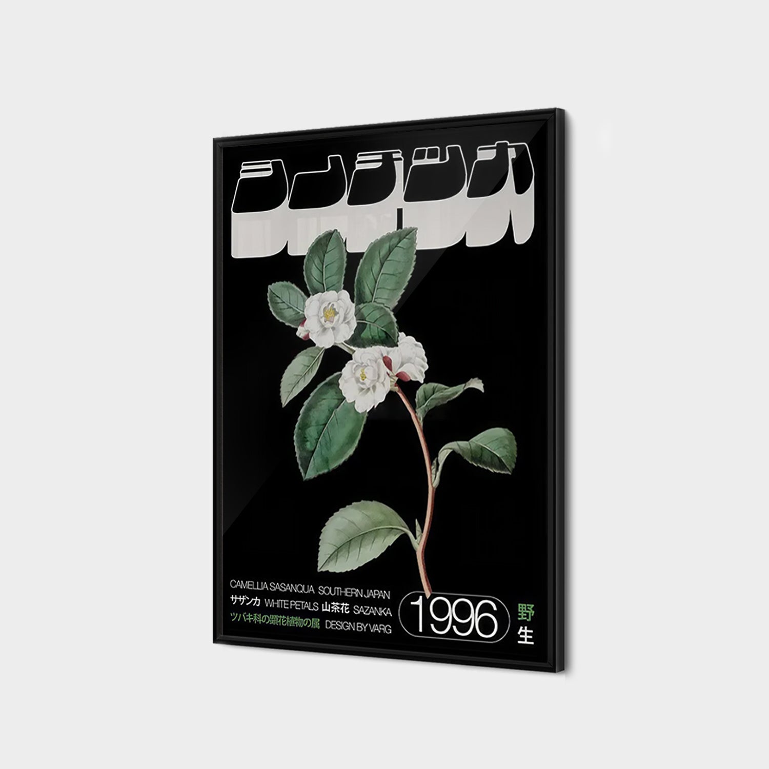 Japanske Hvide Petaler Sazanka (1996)-thumbmail-2