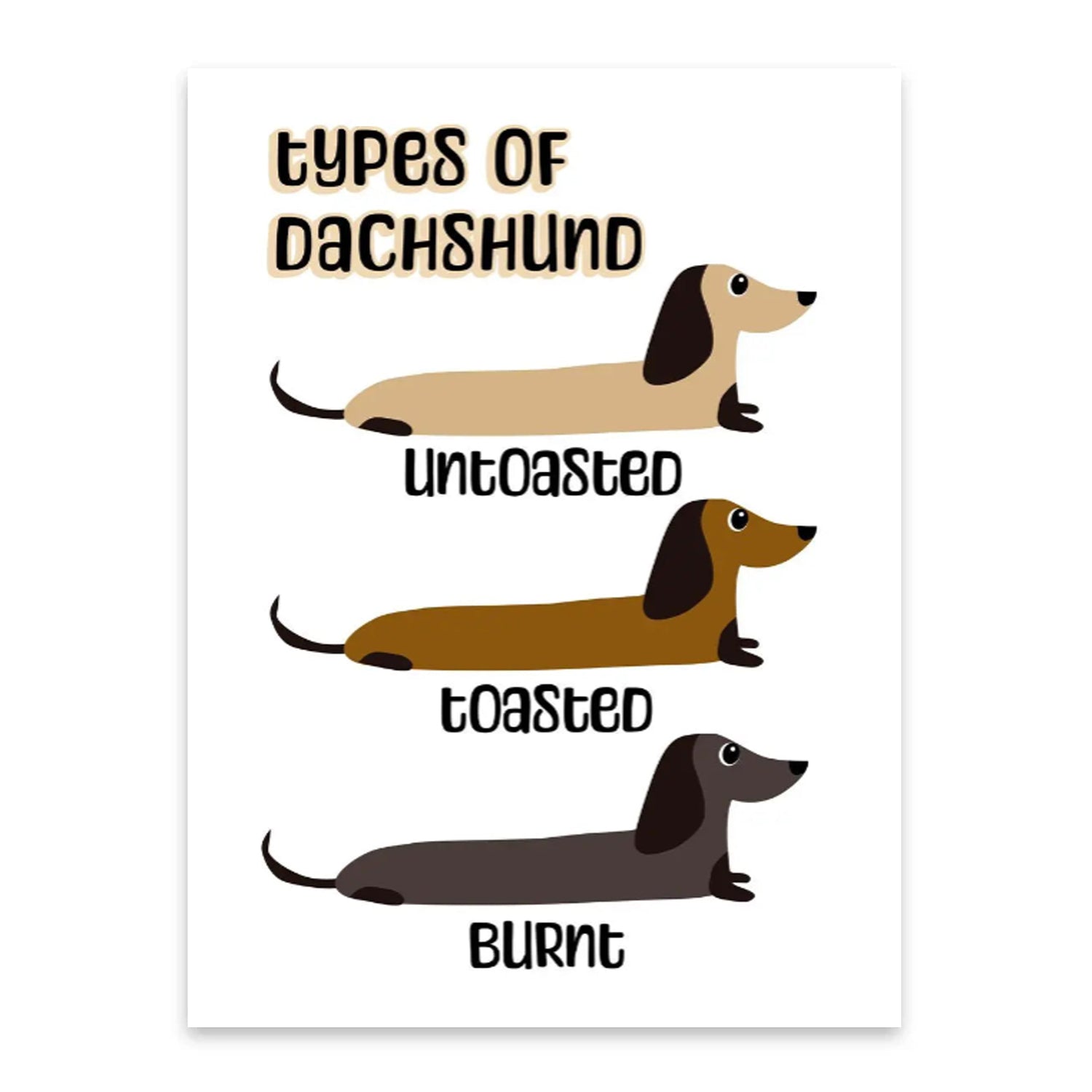 Tipo de Dachshund -thumbmail-3