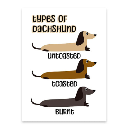 Type of Dachshund