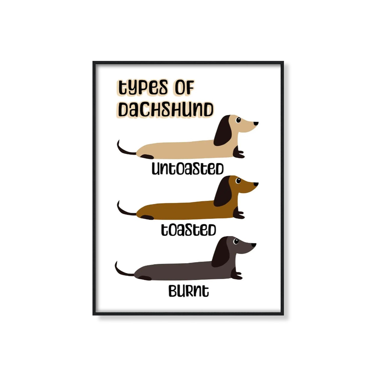 Type of Dachshund