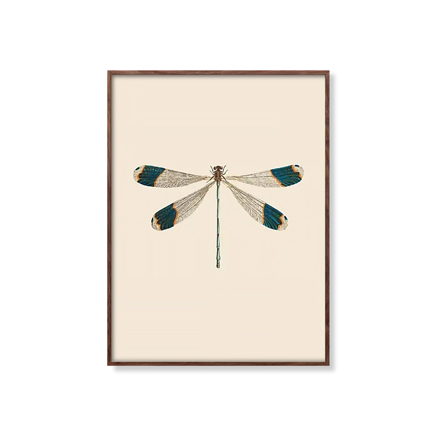 Vintage kæmpe helikopter damselfly