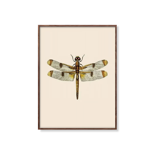 Vintage Painted Skimmer