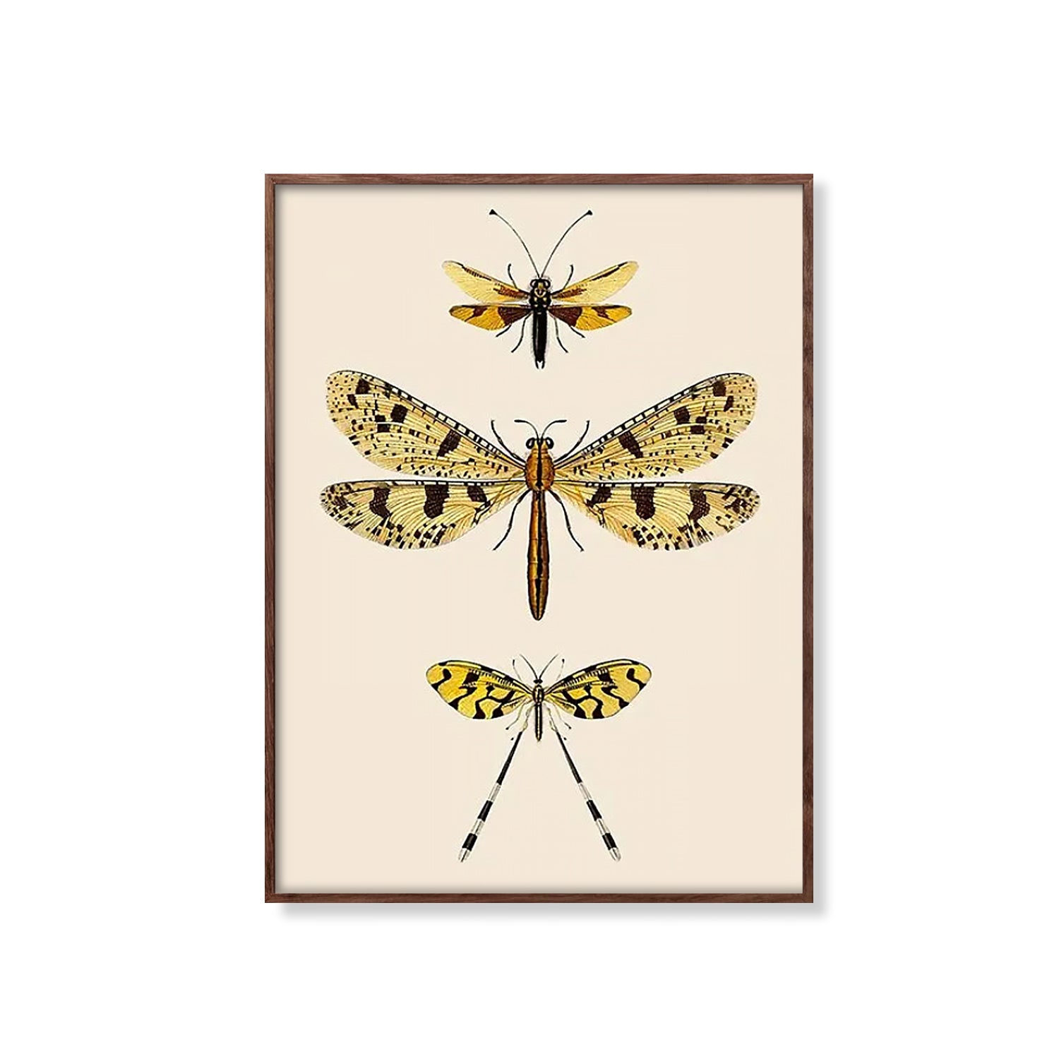 Vintage Palpares Caffer Guldsmed