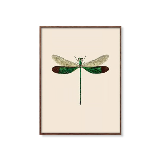 Vintage Stream lory Dragonfly
